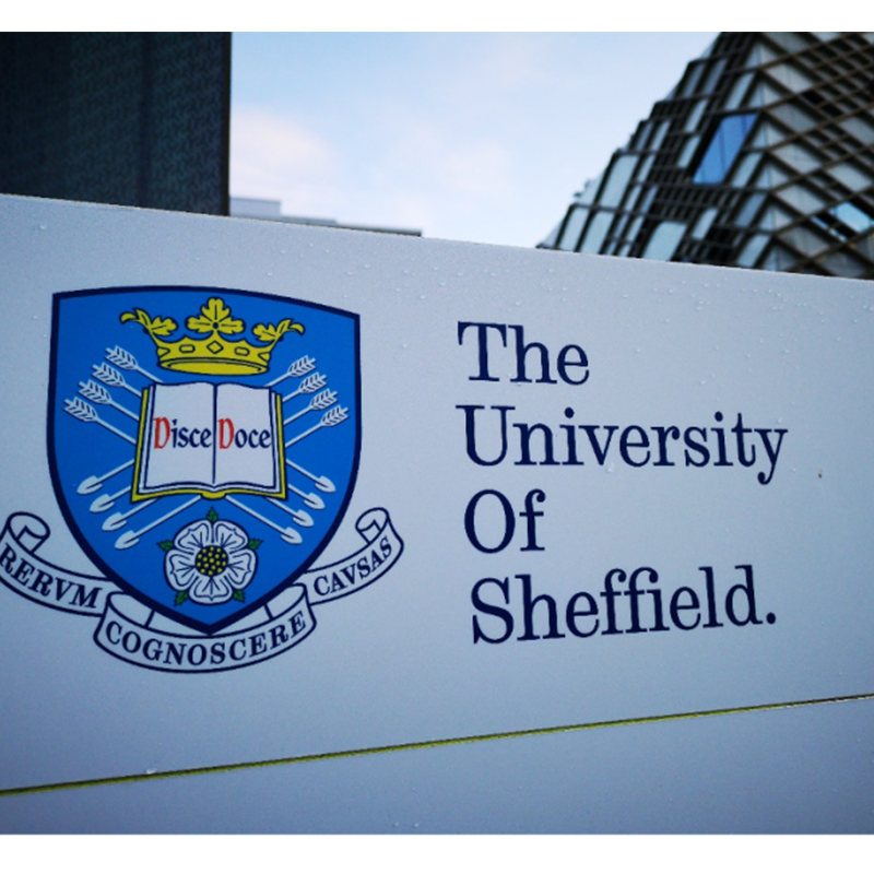 Şeffild Universiteti Böyük Britaniyanın ən böyük yaşıl hidrogen istehsalçısı olmağa hazırlaşır